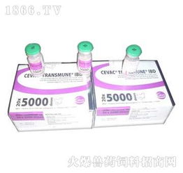 鄭州翰威畜牧科技 獸藥飼料火爆招商，賦能現(xiàn)代畜牧漁業(yè)新篇章