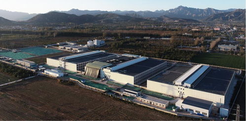 豐收時(shí)節(jié)譜新篇 2024中國農(nóng)民豐收節(jié)聚焦畜牧水產(chǎn)品質(zhì)提升與飼料銷售新動能